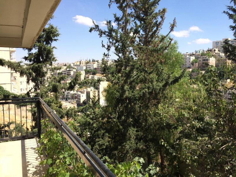 Beautiful Jabal Weibdeh apartment- Brand new - image 3