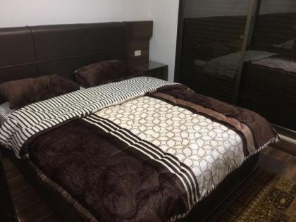 Assaf furnished apartments - image 11