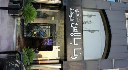 Rana Palace - image 25