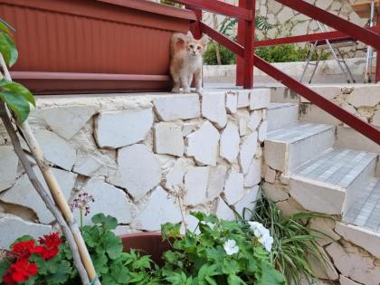 Rainbow House - image 26