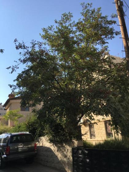 New Roof Top 2BR Jabal Amman 4th Circle Zahran Palace - image 28